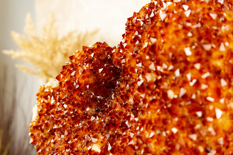 Large Natural Citrine Flower Cluster on Stand with Orange Citrine Crystal Stalactite - 6.5 Kg - 14.3 lb - E2D Crystals & Minerals