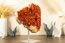 Large Natural Citrine Flower Cluster on Stand with Orange Citrine Crystal Stalactite - 6.5 Kg - 14.3 lb - E2D Crystals & Minerals