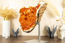 Rare Large Orange Citrine Cluster with Rosette Flowers (Stalactite) on Stand - 15 Kg - 34 lb - E2D Crystals & Minerals