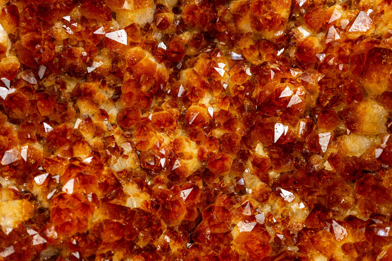 X-Large Natural Citrine Geode Cluster, with Deep Golden Orange Citrine
