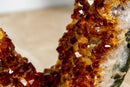 Dunkelorange Citrin-Geodenscheibe auf Ständer mit Citrin-Druzy in AAA-Qualität – 3,3 kg – 7,2 lb