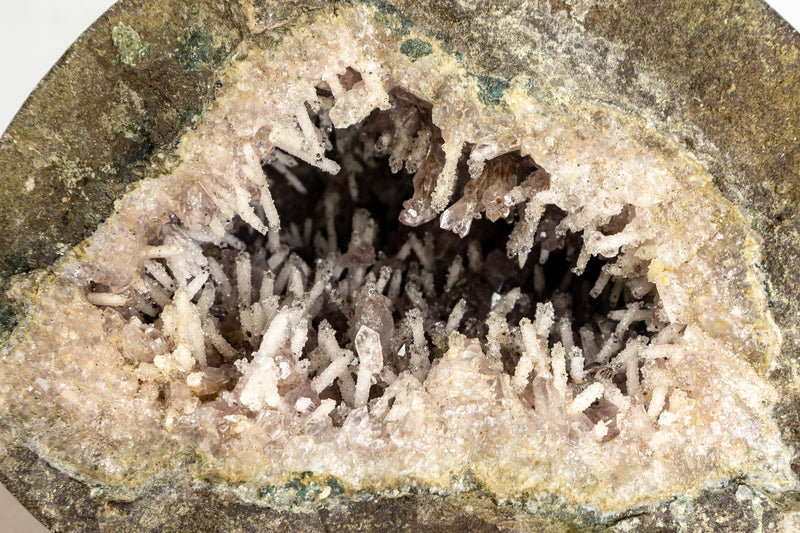 Amethyst-Geode in Galeriequalität mit seltener Amethyst-Druzy-Formation