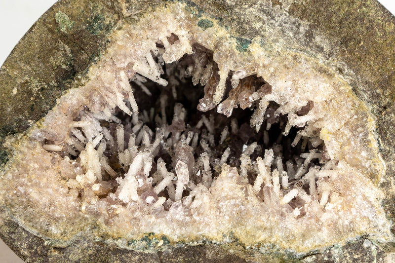 Gallery Grade Amethyst Geode with Rare Amethyst Druzy Formation
