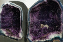 Paar Amethyst-Geoden mit tiefviolettem Galaxy Druzy-Amethyst