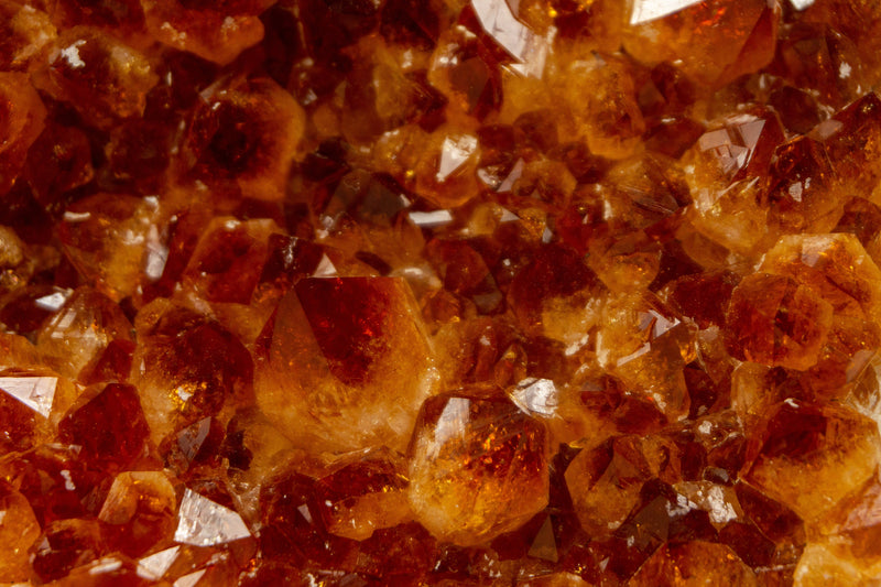 Dunkelorangefarbener Citrin-Kristallcluster auf Ständer