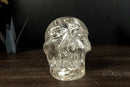 X-Large Clear Quartz Skull, made of Natural Diamantina Quartz