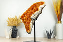 Large Citrine Crystal Cluster with Polished Borders on Display - E2D Crystals & Minerals