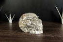 Gorgeous Real Crystal Skull with Huge Rainbows, Diamantina Quartz