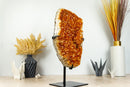 Large Citrine Crystal Cluster with Polished Borders on Display - E2D Crystals & Minerals