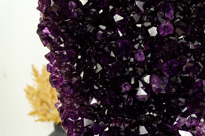 AAA Amethyst Geode Cluster with Dark Purple Grape Jelly Amethyst Druzy