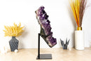 Spektakulärer großer AAA-Amethyst-Geodencluster mit extragroßem dunkelvioletten Amethyst-Drusen. 14 kg – 30,3 lb
