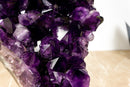 Spektakulärer großer AAA-Amethyst-Geodencluster mit extragroßem dunkelvioletten Amethyst-Drusen. 14 kg – 30,3 lb