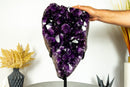 Spektakulärer großer AAA-Amethyst-Geodencluster mit extragroßem dunkelvioletten Amethyst-Drusen. 14 kg – 30,3 lb