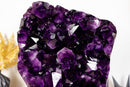 Spektakulärer großer AAA-Amethyst-Geodencluster mit extragroßem dunkelvioletten Amethyst-Drusen. 14 kg – 30,3 lb