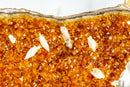 Deep Orange Citrine with Calcite Formations on Stand, 6.3 Kg - 13.9 lb - E2D Crystals & Minerals