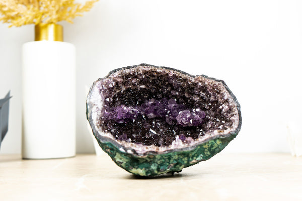 All Natural Small Amethyst Geode with Rare Purple Amethyst Druzy Formation, 1.4 Kg - 3.0 lb - E2D Crystals & Minerals