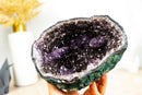 All Natural Small Amethyst Geode with Rare Purple Amethyst Druzy Formation, 1.4 Kg - 3.0 lb - E2D Crystals & Minerals