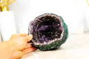 All Natural Small Amethyst Geode with Rare Purple Amethyst Druzy Formation, 1.4 Kg - 3.0 lb - E2D Crystals & Minerals