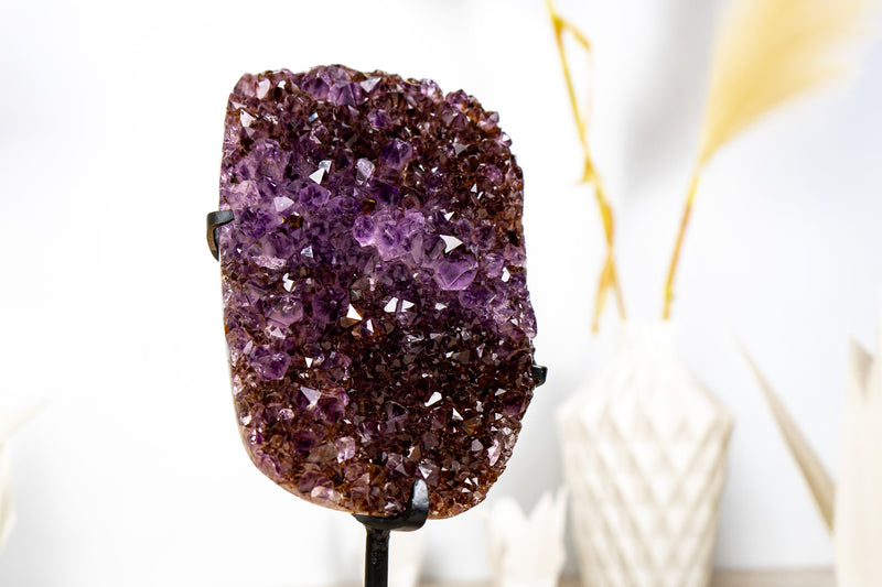 Amethyst Cluster with Golden Goethite, and Deep Purple Druzy, Ethically Sourced - 1.6 Kg - 3.4 lb