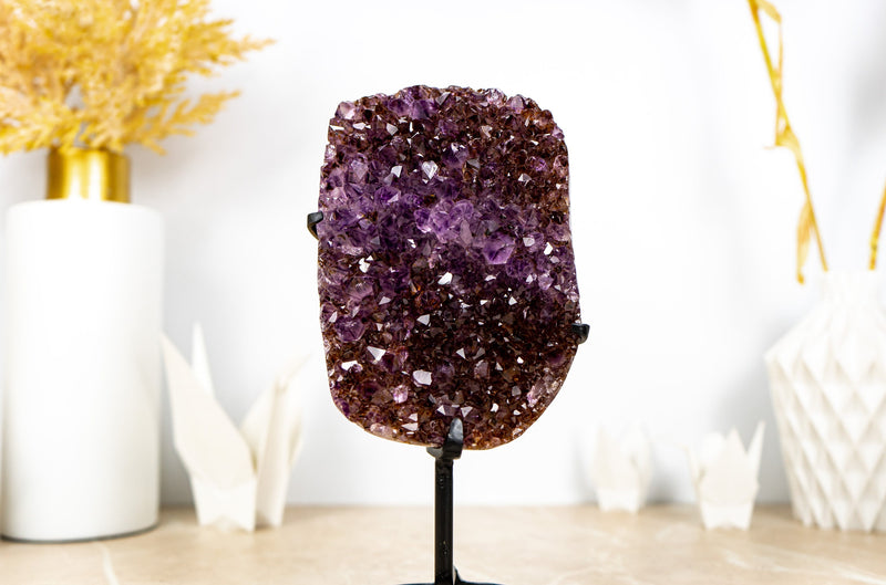 Amethyst Cluster with Golden Goethite, and Deep Purple Druzy, Ethically Sourced - 1.6 Kg - 3.4 lb