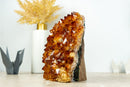AAA Citrine Flower Rosette Crystal Cluster, Self Standing with Deep Orange and Perfect Druzy - 5.5 Kg - 12.1 lb - E2D Crystals & Minerals