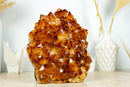 AAA Citrine Flower Rosette Crystal Cluster, Self Standing with Deep Orange and Perfect Druzy - 5.5 Kg - 12.1 lb - E2D Crystals & Minerals