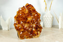 AAA Citrine Flower Rosette Crystal Cluster, Self Standing with Deep Orange and Perfect Druzy - 5.5 Kg - 12.1 lb - E2D Crystals & Minerals