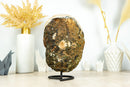 Deep Yellow Citrine Crystal Geode Cluster on Stand, Med Size - 4.3 Kg - 9.4 lb