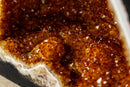 Gorgeous Citrine Geode Cathedral with Deep Orange Druzy and many Flower Rosettes - 19.7 Kg - 43.4 lb - E2D Crystals & Minerals