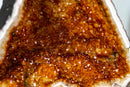 Gorgeous Citrine Geode Cathedral with Deep Orange Druzy and many Flower Rosettes - 19.7 Kg - 43.4 lb - E2D Crystals & Minerals