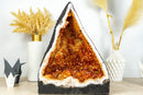 Gorgeous Citrine Geode Cathedral with Deep Orange Druzy and many Flower Rosettes - 19.7 Kg - 43.4 lb - E2D Crystals & Minerals