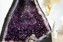 Wunderschöne Amethyst-Geodenkathedrale mit dunkelvioletten Drusen und vielen Blütenrosetten – 19,4 kg – 42,8 lb