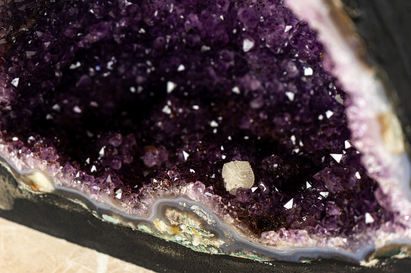 Gorgeous Amethyst Geode Cathedral with Deep Purple Druzy and many Flower Rosettes - 19.4 Kg - 42.8 lb