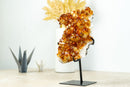 Small Citrine Crystal Cluster with Flower Rosette. Dark Orange Citrine on Display - 2.2 Kg - 4.7 lb - E2D Crystals & Minerals