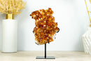 Small Citrine Crystal Cluster with Flower Rosette. Dark Orange Citrine on Display - 2.2 Kg - 4.7 lb - E2D Crystals & Minerals