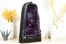 Galaxy Amethyst Geode Kathedrale mit seltener goldener Goethit Blume Rosette, natürlich 21 kg - 45,5 Pfund