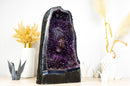 Galaxy Amethyst Geode Kathedrale mit seltener goldener Goethit Blume Rosette, natürlich 21 kg - 45,5 Pfund