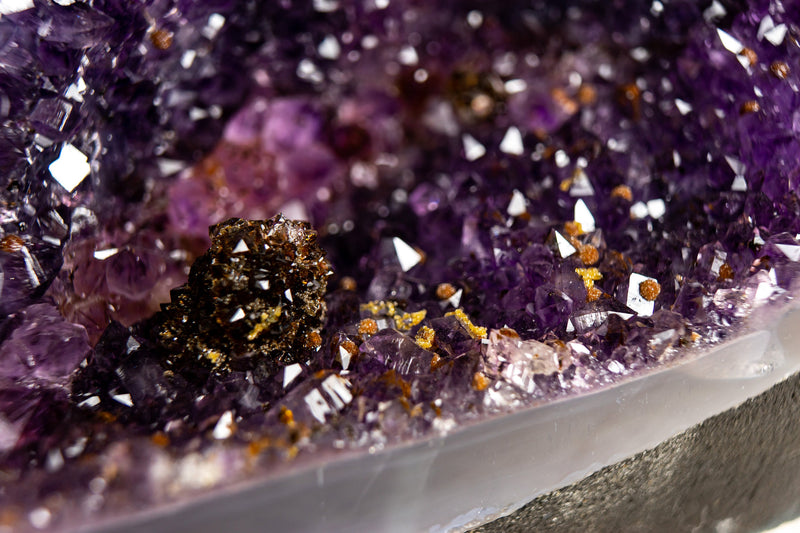 Galaxy Amethyst Geode Kathedrale mit seltener goldener Goethit Blume Rosette, natürlich 21 kg - 45,5 Pfund