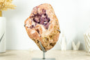 Rosa Amethyst-Geode mit rosa Amethyst-Druse ausgestellt – hohe Qualität – 4,9 kg – 10,8 lb