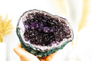 All Natural Small Amethyst Geode with Rare Purple Amethyst Druzy Formation, 1.4 Kg - 3.0 lb - E2D Crystals & Minerals