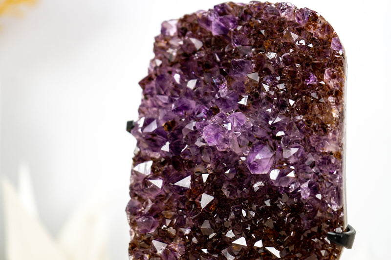 Amethyst Cluster with Golden Goethite, and Deep Purple Druzy, Ethically Sourced - 1.6 Kg - 3.4 lb