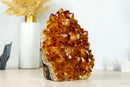AAA Citrine Flower Rosette Crystal Cluster, Self Standing with Deep Orange and Perfect Druzy - 5.5 Kg - 12.1 lb - E2D Crystals & Minerals