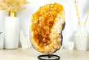 Deep Yellow Citrine Crystal Geode Cluster on Stand, Med Size - 4.3 Kg - 9.4 lb