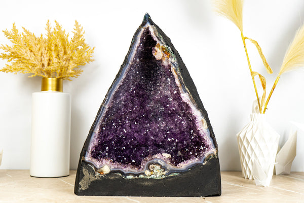 Gorgeous Amethyst Geode Cathedral with Deep Purple Druzy and many Flower Rosettes - 19.4 Kg - 42.8 lb