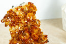 Small Citrine Crystal Cluster with Flower Rosette. Dark Orange Citrine on Display - 2.2 Kg - 4.7 lb - E2D Crystals & Minerals