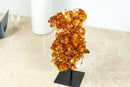 Small Citrine Crystal Cluster with Flower Rosette. Dark Orange Citrine on Display - 2.2 Kg - 4.7 lb - E2D Crystals & Minerals