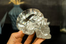 Large AAA Natura Diamantina Crystal Skull Head with Rainbows