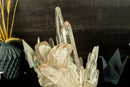 Rare Large Lemurian Quartz Crystal with Lithium from Serra do Cabral
