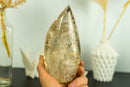 Large Genuine Citrine Crystal Point with Golden Honey Citrine Color