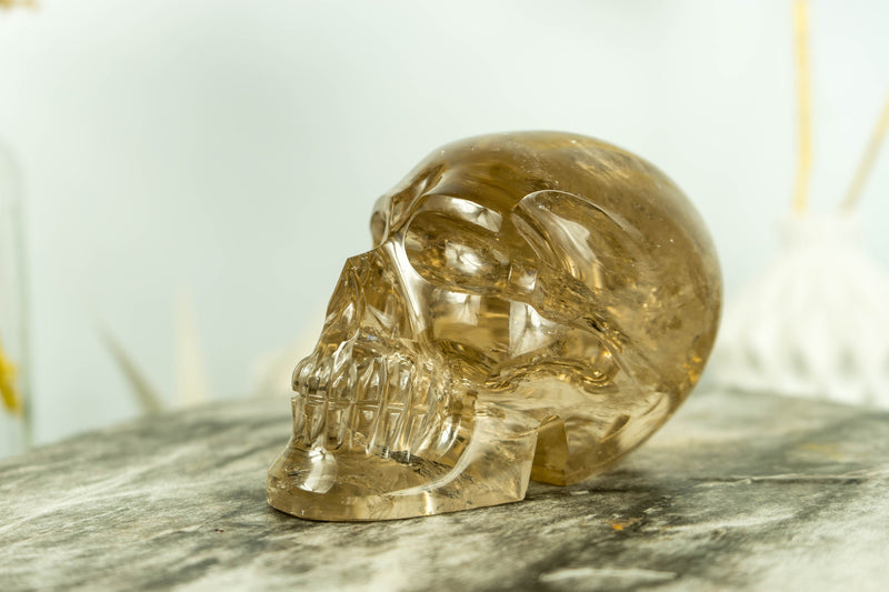 Rare Large Citrine Crystal Skull with AAA Golden Orange Citrine